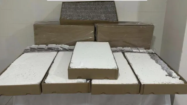 Çanakkale'de Kaçakçılık Operasyonu: 120 Bin Dolu Makaron Ele Geçirildi