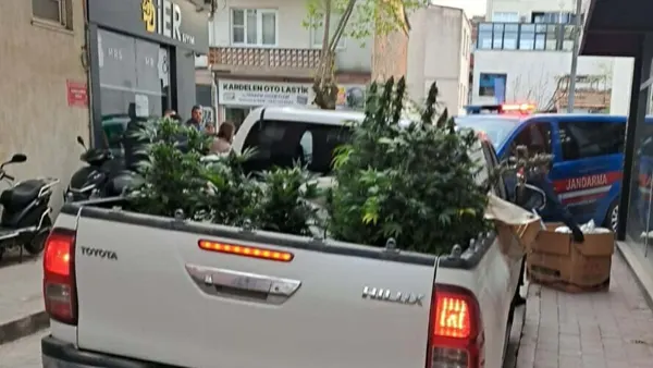 Çan’da Apartman Dairesinde Uyuşturucu Yetiştiren Şüpheli Yakalandı